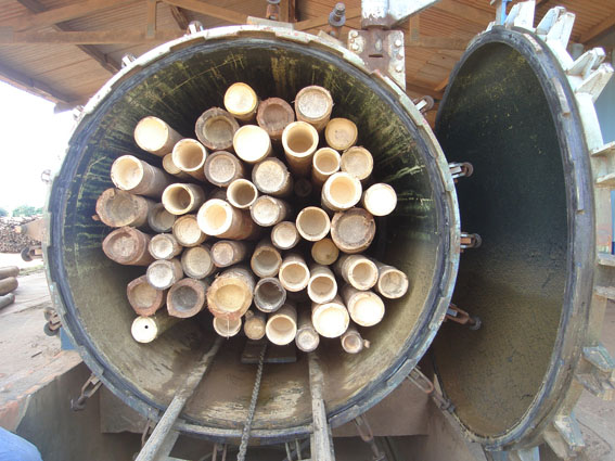 imagem tratamento de bambu